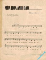 Mua hoa anh dao (1).jpg