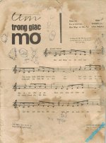 Tim trong giac mo (1).jpg