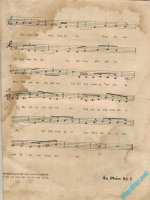 Tim trong giac mo (2).jpg