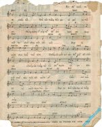 Bay di canh chim bien (2).jpg