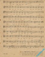 Chieu co don (2).jpg