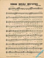 Tinh hoai huong (1).jpg