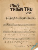 Tinh thien thu (1).jpg