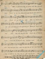 Tinh tuyet vong (2).jpg