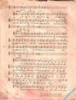 áo anh sut chi duong ta3.jpg