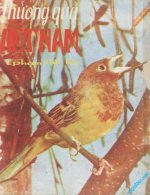 thuong qua Viet nam 4.jpg