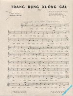 Trăng rụng xuống cầu 2.jpg