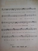 Vet thuong long (Hoai Nam) 3.jpg