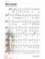 hai vi sao lac 0001.jpg