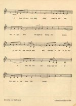 mua hoa phuong 2.JPG