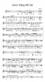Chim Trang Mo Coi_Minh Vy.JPG