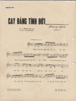 cay dang tinh doi 1.jpg