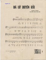 da lo duyen roi 1.jpg