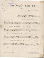 tinh nguoi con do 1.jpg