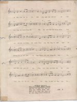 vui tron dem nay 2.jpg