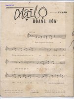 dai lo hoang hon 1.jpg