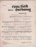 ruoc tinh ve voi que huong 1.jpg