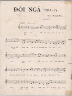 Doi nga chia ly (Khanh Bang) 2.jpg