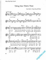 Tieng sao thien thai 1.JPG