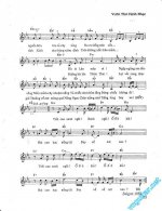 Tieng sao thien thai 2.JPG