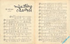 mua dong cua anh 2.jpg