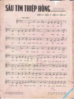sau tim thiep hong 1.jpg